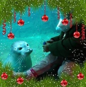 Meet your Posher, Peggy